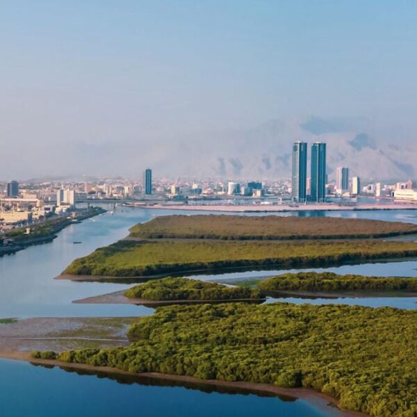 Ras Al Khaimah City desert's beauty